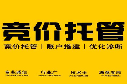 精准营销的秘诀：专业SEM托管的成功故事分享